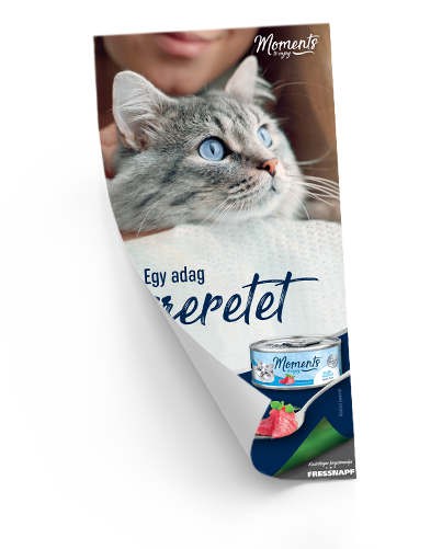 Moments: Egy adag szeretet