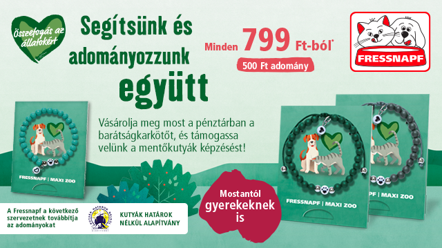 Összefogás az állatokért: segítsük együtt a mentőkutyák képzését!