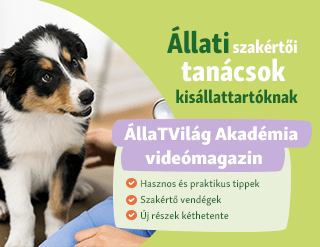 ÁllaTVilág