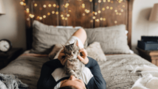 Cicawellness – kényeztető tippek macskáknak