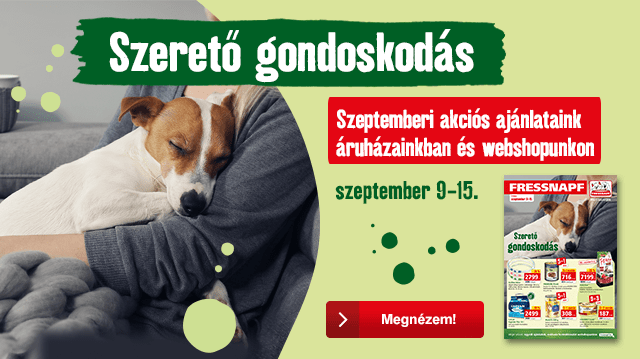 Megérkeztek őszi akciós ajánlataink!