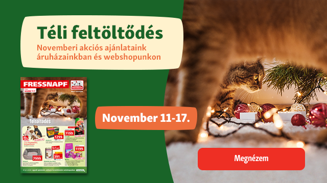 Téli feltöltődés: megérkeztek novemberi akciós ajánlataink!