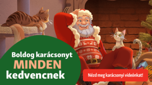 Boldog karácsonyt kívánunk minden kedvencnek!