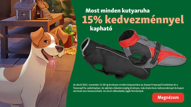 Megbízható védelem a hideg ellen: divatos kutyaruhák 15% kedvezménnyel!