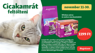 Cicakamrát feltölteni! Whiskas eledelek kihagyhatatlan áron!