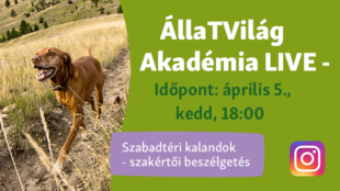 ÁllaTVilág Akadémia LIVE – élő beszélgetés szakértőinkkel!