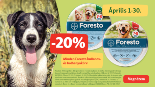 Foresto termékek most 20% kedvezménnyel!