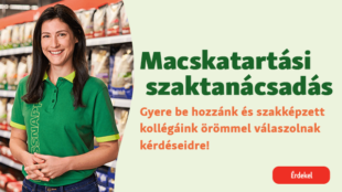 Macskatartással kapcsolatos tanácsra van szükséged? Kérdezz minket!