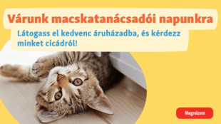 Várunk macskatanácsadói napunkra!