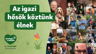 Az Igazi hősök köztünk élnek!