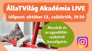 ÁllaTVilág Akadémia Instagram Live adás október 13-án!