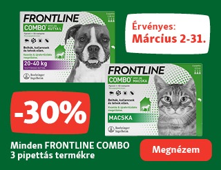 Frontlin