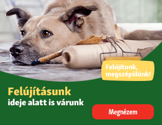Újbuda