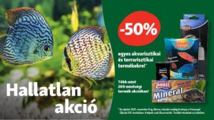 Hallatlan kiárusítás!