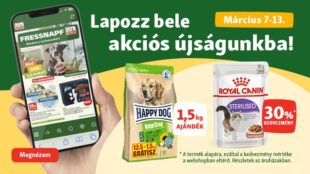 3…2…1…Kezdődjön a tavaszi zsongás!