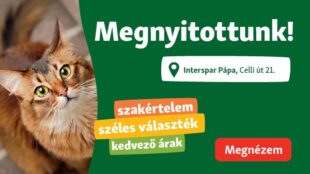Hello Pápa, itt vagyunk!