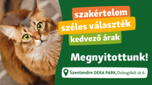 Szentendre, megnyitottunk!