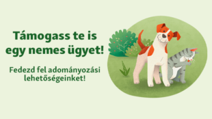 Támogass te is egy nemes ügyet!