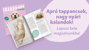 Apró tappancsok, nagy nyári kalandok! Lapozz bele magazinunkba!
